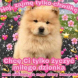 kasiulka337