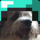 x44nny_