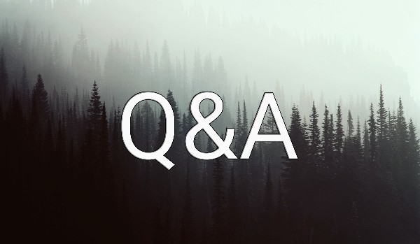 Q&A – pytania OTWARTE!