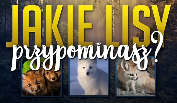 Jakie lisy przypominasz?