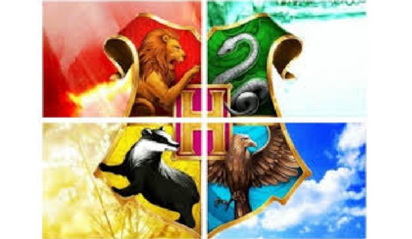 Czwórka Hogwartu – następcy ~ rozdział trzeci