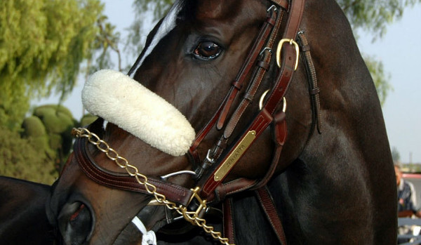 inazuma eleven odc.1