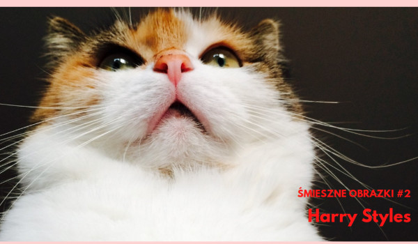 Śmieszne Obrazki #2 Harry Styles