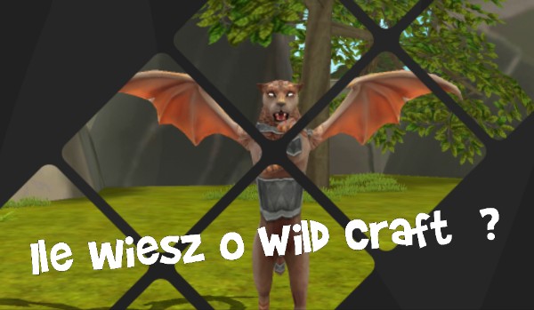 Ile wiesz o Wild Craft ?  #2
