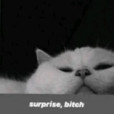 Liqquz__