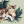 KarixWarriorCats