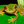 GuaninaCytozynaBiologia