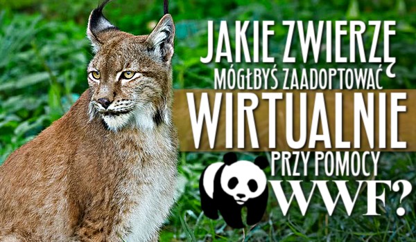 Jakie zwierzę mógłbyś zaadoptować wirtualnie przy pomocy WWF?