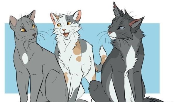 Pytania od @LubieZycie