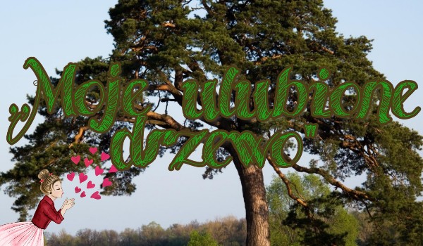 „Moje ulubione drzewo” cz.2