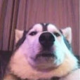 OliwkaQuizyXD