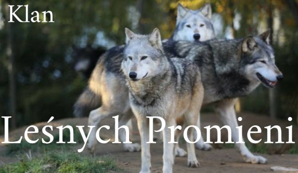 Klan Leśnych Promieni #1