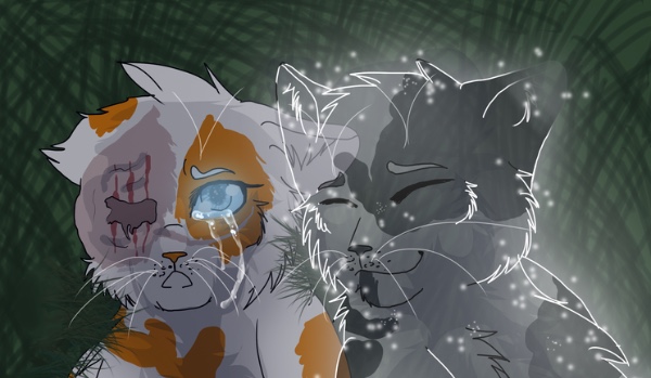 Jasne serce x Prędka lapa