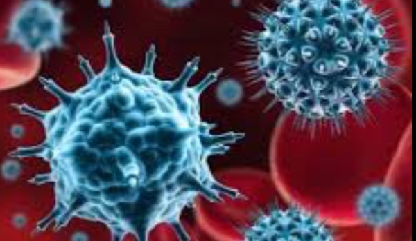Czy przetrwasz  epidemię koronawirusa?
