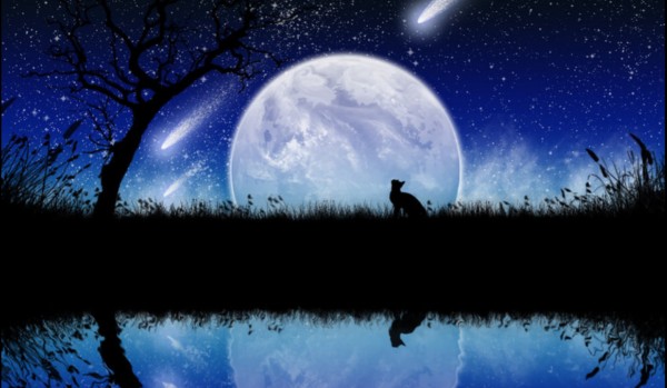 *idzie przed siebie*