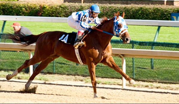 Końskie Legendy ~ Secretariat