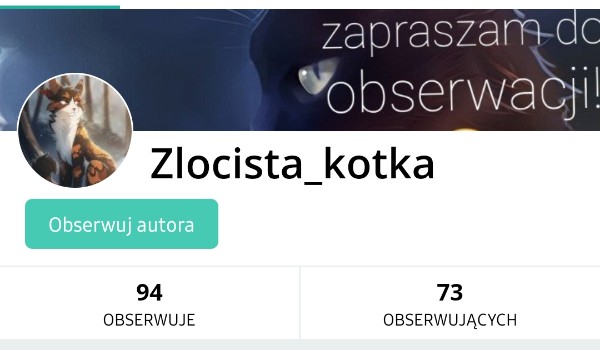 Ocenianie profilu @Zlocista_kotka