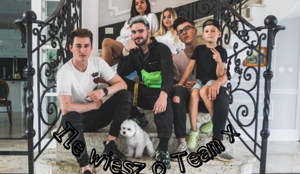 Ile wiesz o Team X