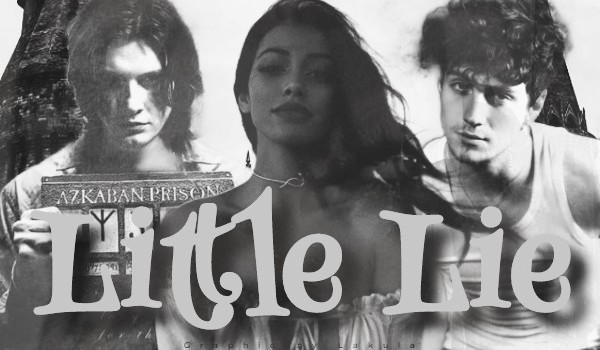 Little Lie • 5