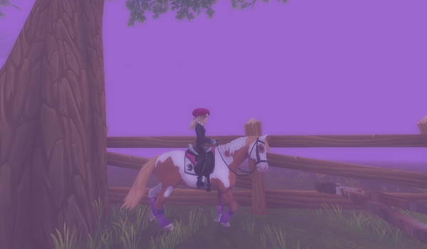 Moje zdjęcia z sso 2#12