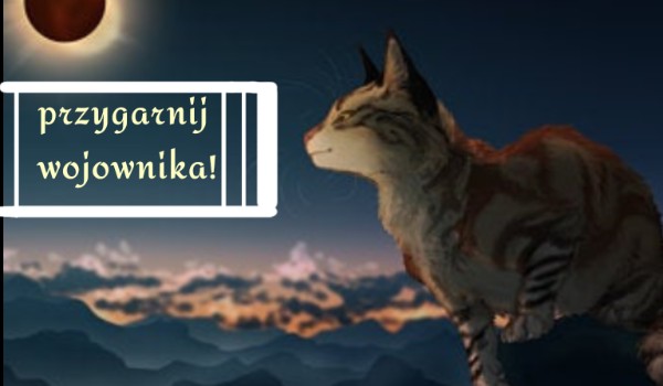 Przygarnij wojownika! #3