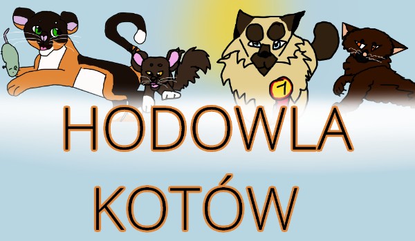 Hodowla kotów – Sklep zoologiczny
