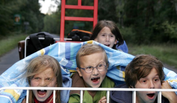 ,,Magiczne drzewo czerwone krzesło”