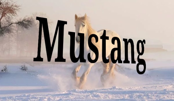 Mustang odc. 2
