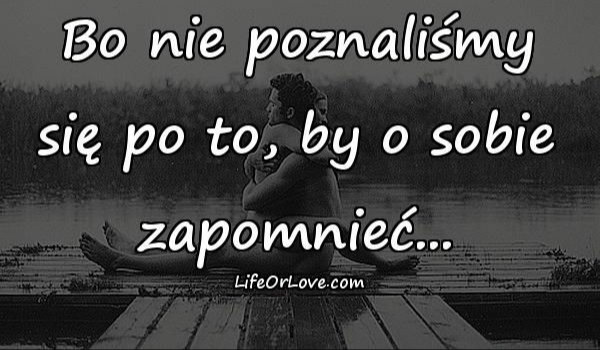 Wolna (nie) samotna VIII