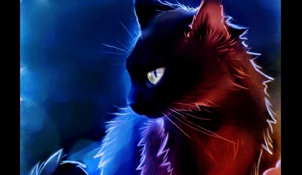 Moja historia Rozdział l