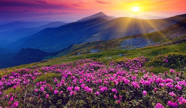 Niezwykła przygoda #2