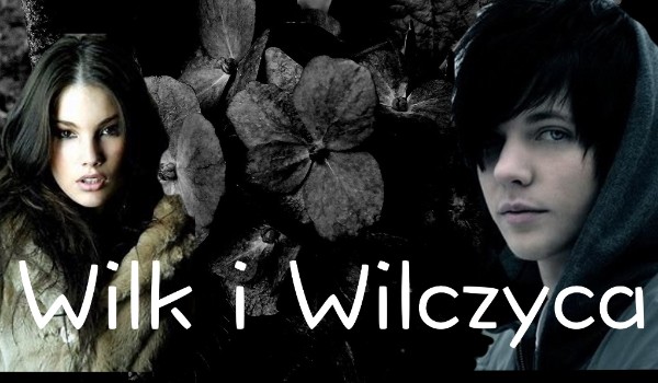 Wilk i Wilczyca [ 2/3 ]