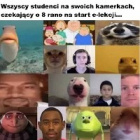 roxibb