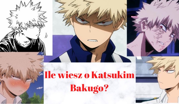 Ile wiesz o Katsukim Bakugo?