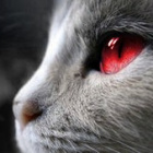 .-Darkness-.