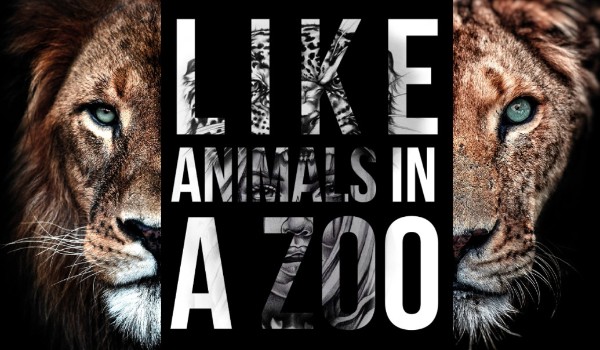 Like animals in a Zoo – wstęp 1