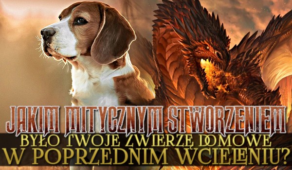 Jakim mitycznym stworzeniem było Twoje zwierzę domowe w poprzednim wcieleniu?