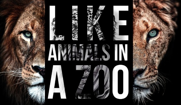 Zapisy do serii – Like animals in a Zoo