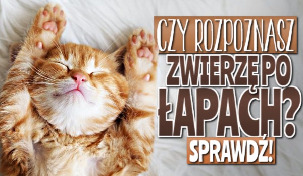 Czy rozpoznasz zwierzę po łapach?