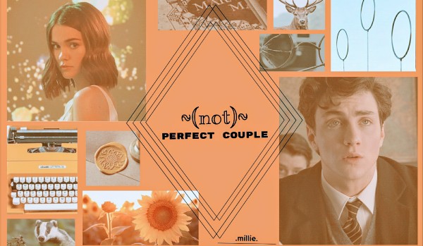 •(not) perfect couple•|james potter #4