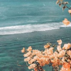 Majusia_3