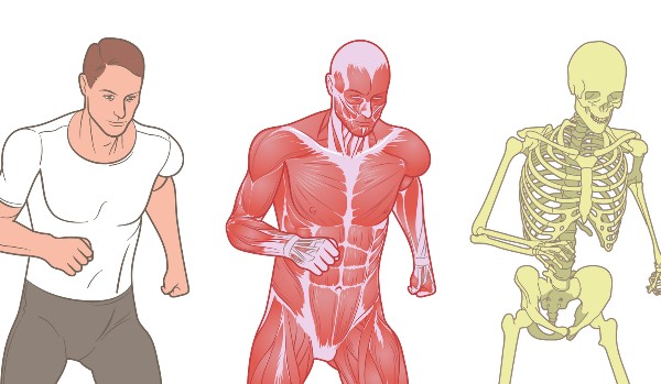 Jak dbać o układ ruchu