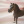 schleich55