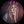 spelniona_