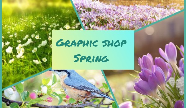GRAPHIC SHOP Spring