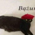 _Help_Please_