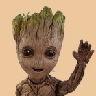 ImGroot