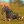 Trix_Wildcraft