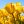 Bananek89G