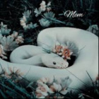 _Slytherin_Memories_